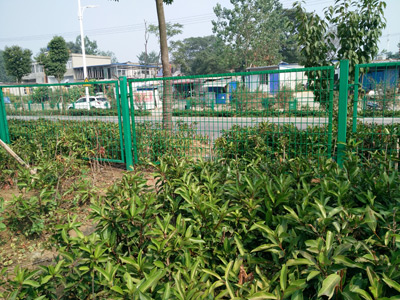 廣東省安徽蚌埠黃山大道綠化隔離項目