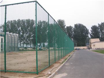 體育場(chǎng)圍欄 (3) 體育場(chǎng)圍欄 (3)