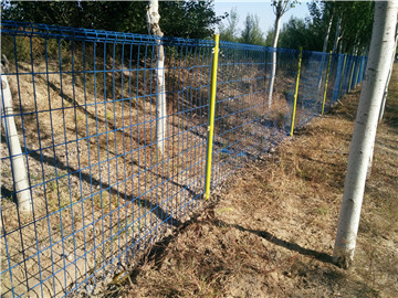 卷圈護(hù)欄網(wǎng)03 卷圈護(hù)欄網(wǎng)03